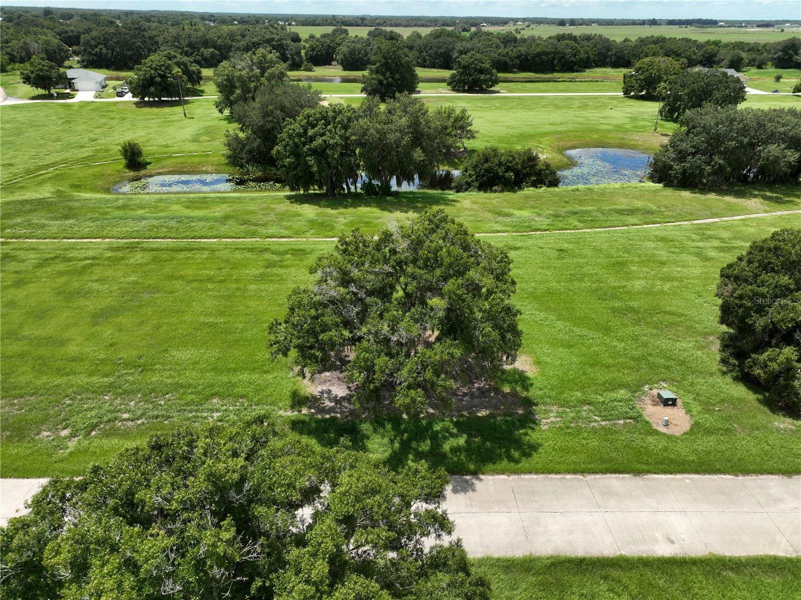 Property Photo:  1465 Blue Heron Drive  FL 33876 