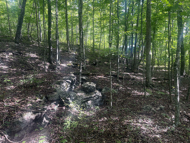 Property Photo:  Lot 41 Paradise Acres  KY 42501 