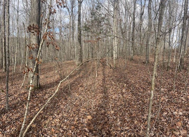 Property Photo: Lot 41 Paradise Acres KY 42501