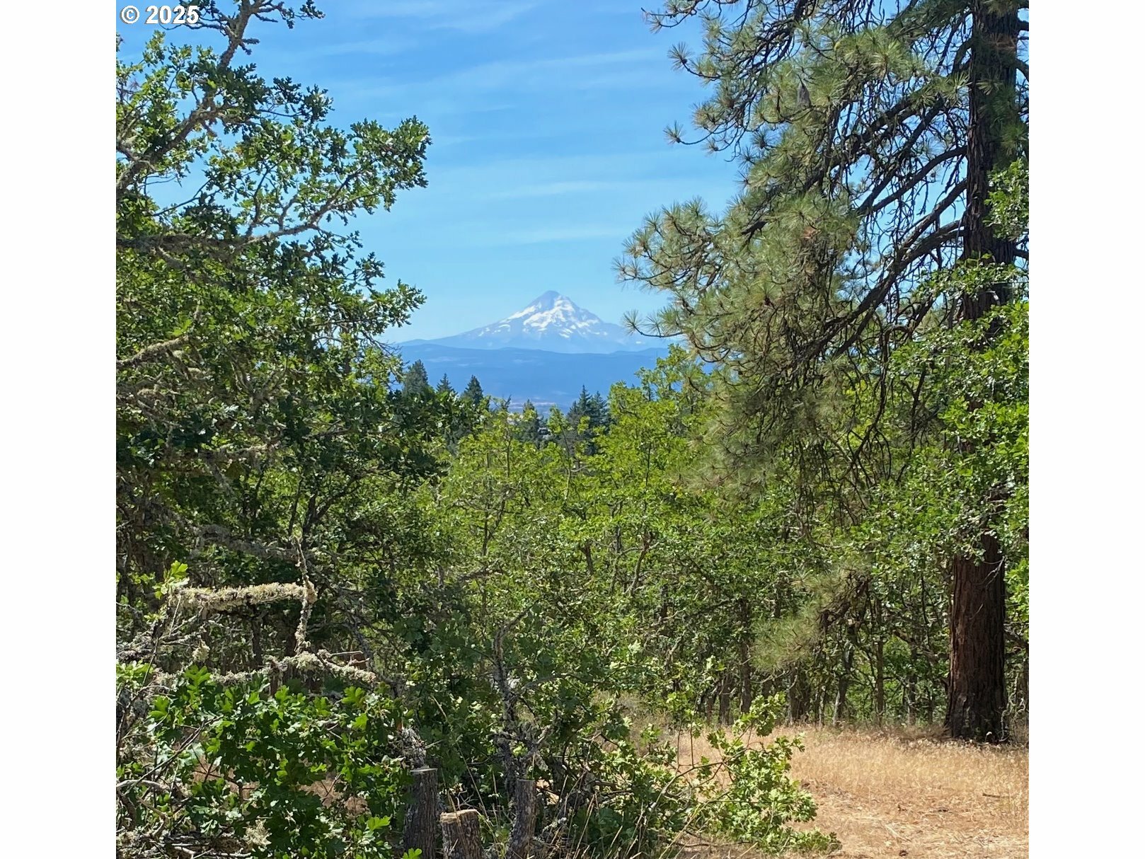 Property Photo:  Secluded Way 4  WA 98635 