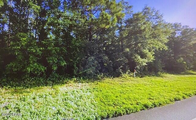 Property Photo:  0 Bristol Highway  FL 32351 