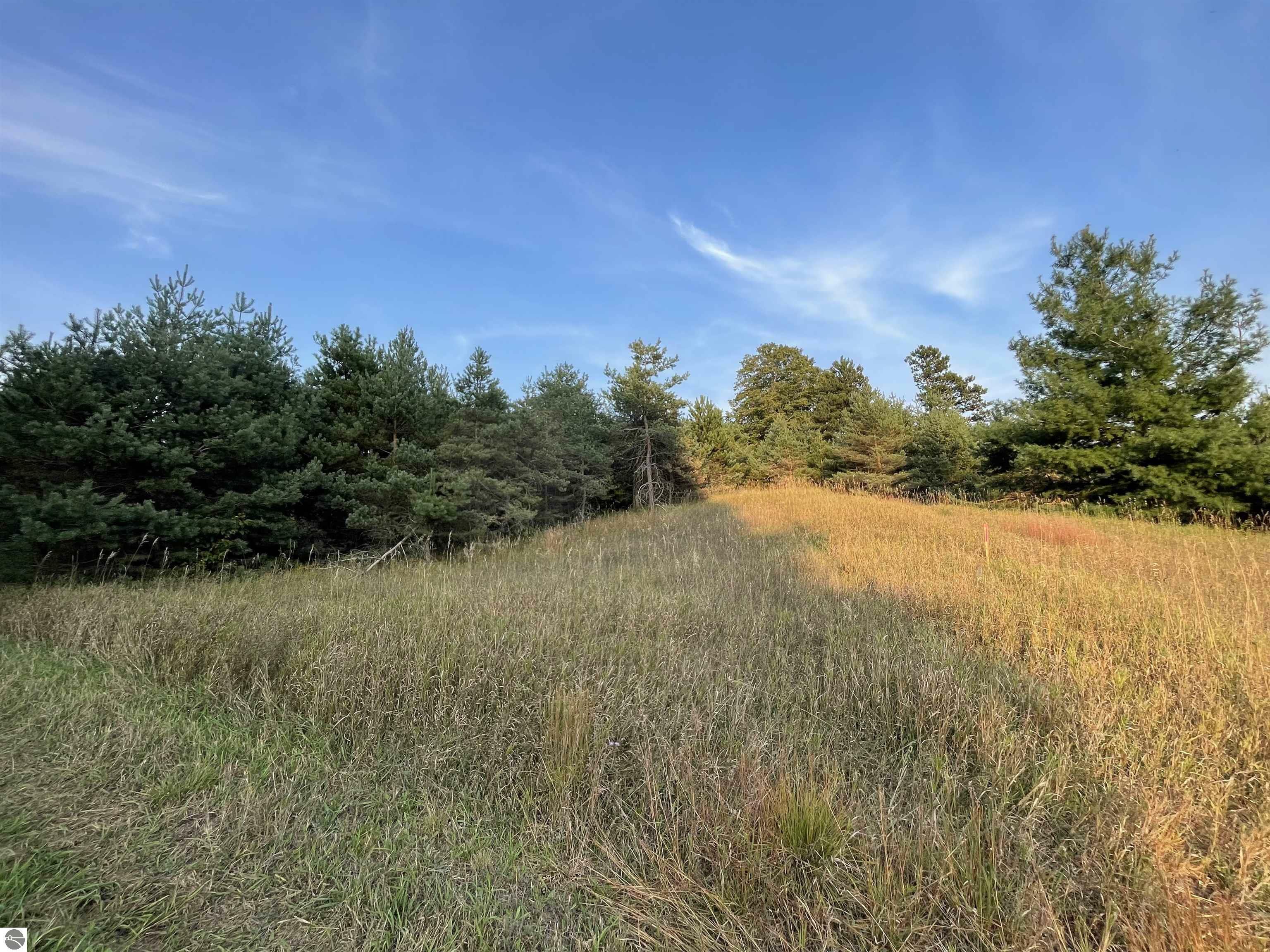 Property Photo:  V/L Parcel F E 18 1/2 Road  MI 49663-8553 