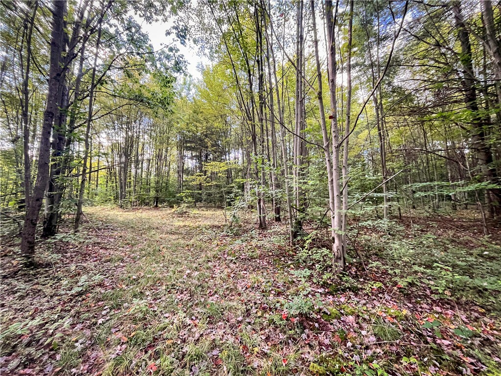 Property Photo:  00 Doolittle Road  NY 14859 