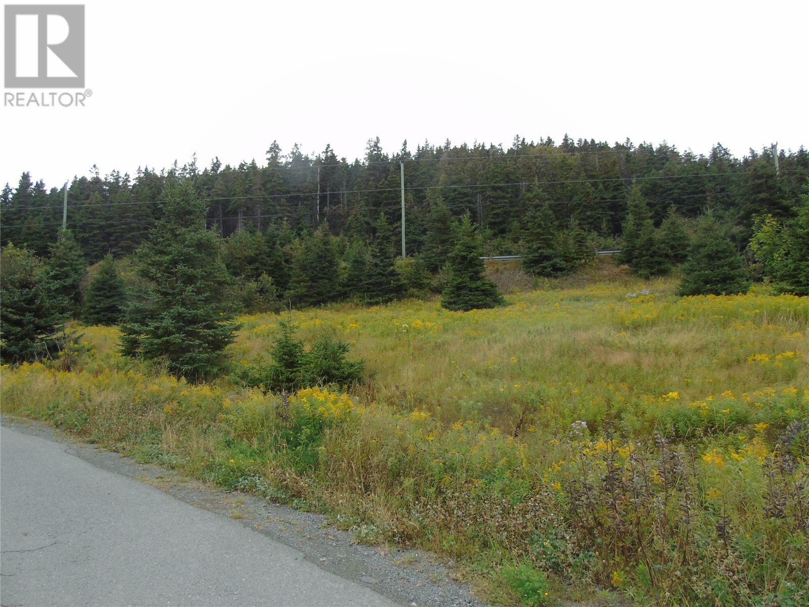 Property Photo:  0 Southern Side Lance Cove Road  NL A0A 4H0 