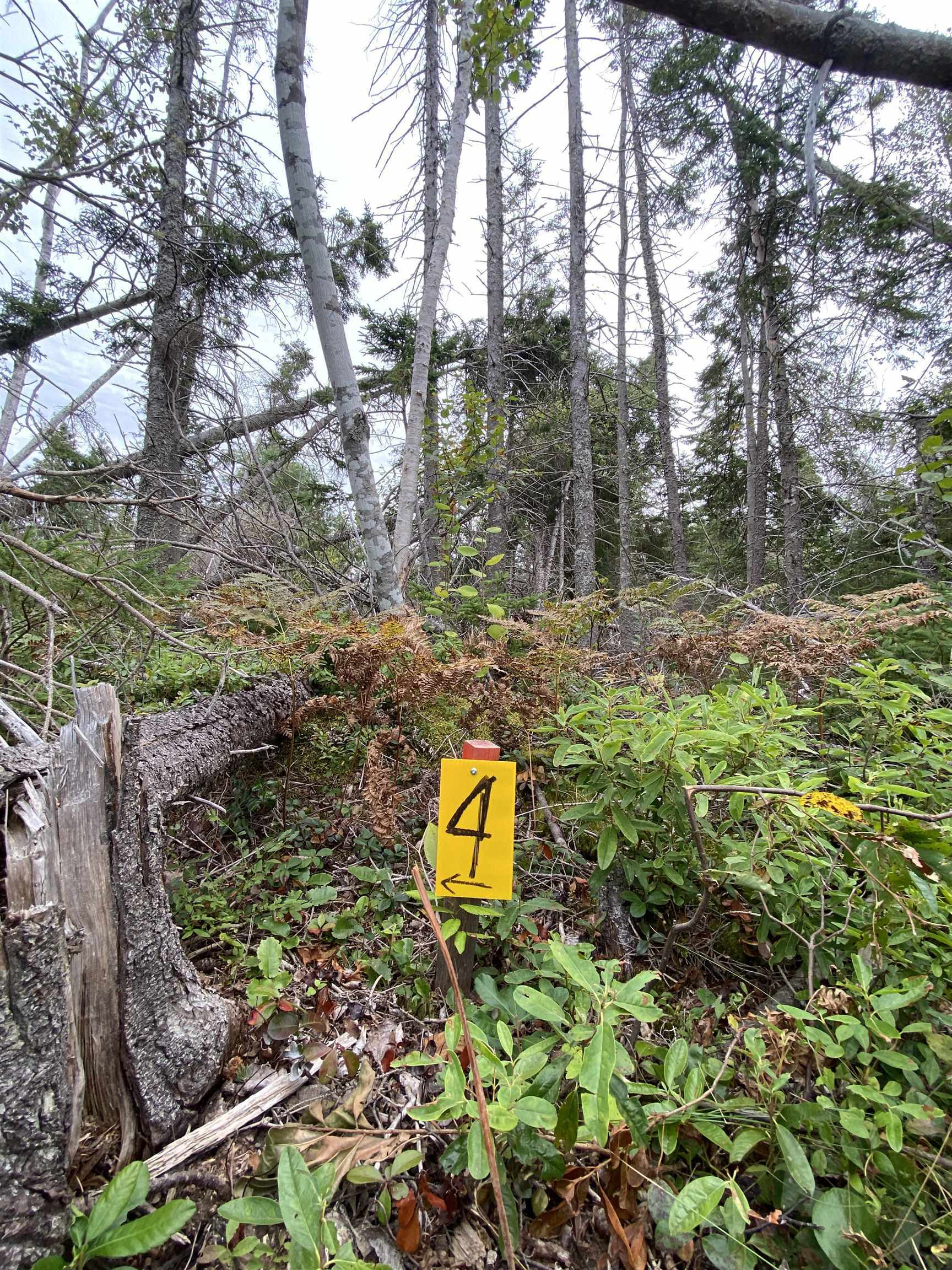 Photo de la propriété:  Lot 4 Floating Bridge Road  PE C0A 1W0 