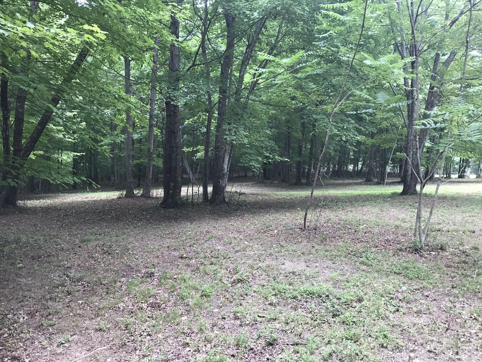 Property Photo: 503 Wilderness Way TN 37327