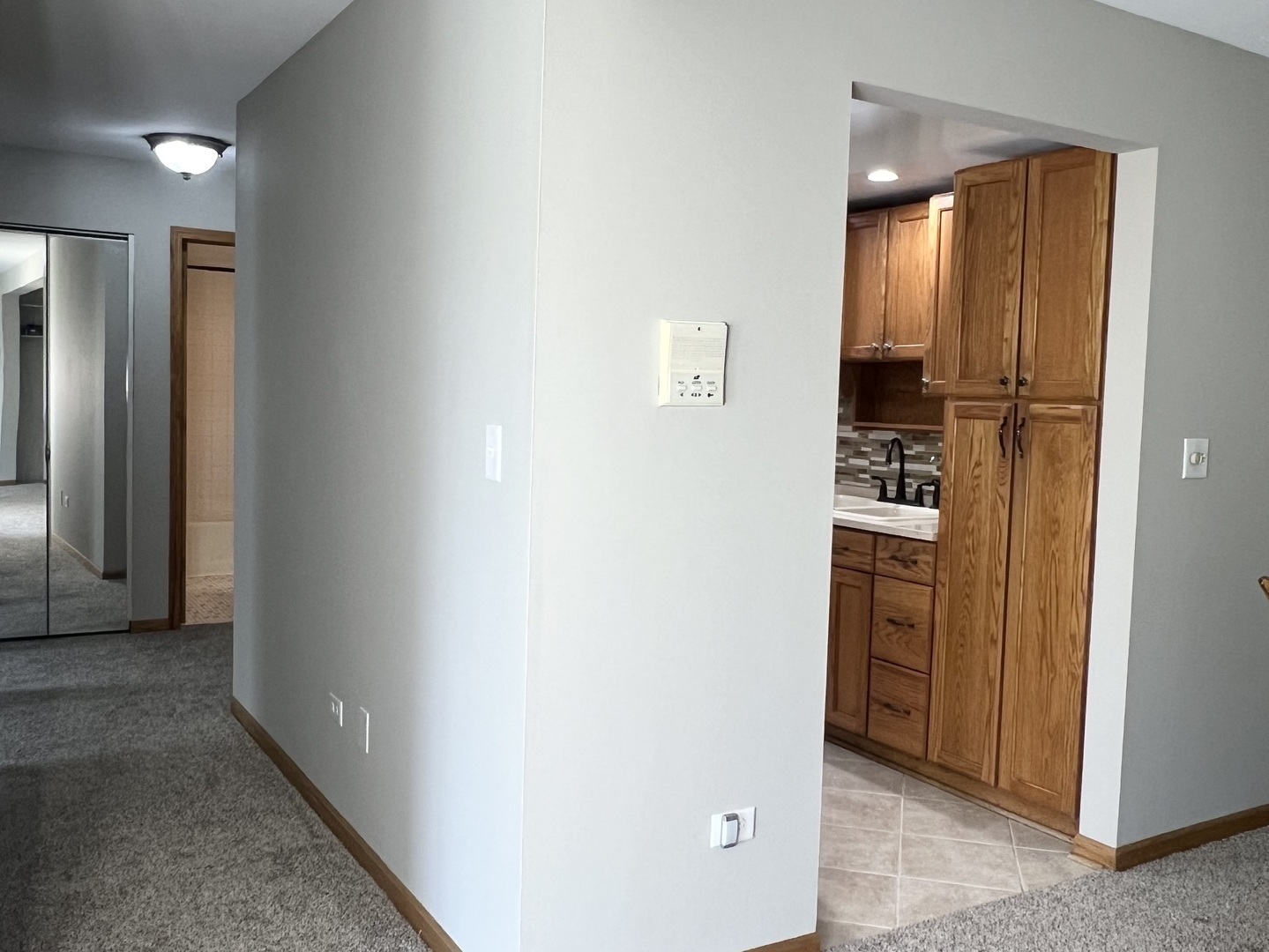 Property Photo:  114 E Bailey Road M  IL 60565 