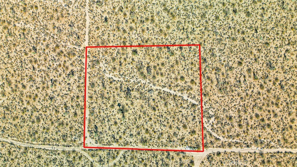 Property Photo: 0 Avenue W CA 93544