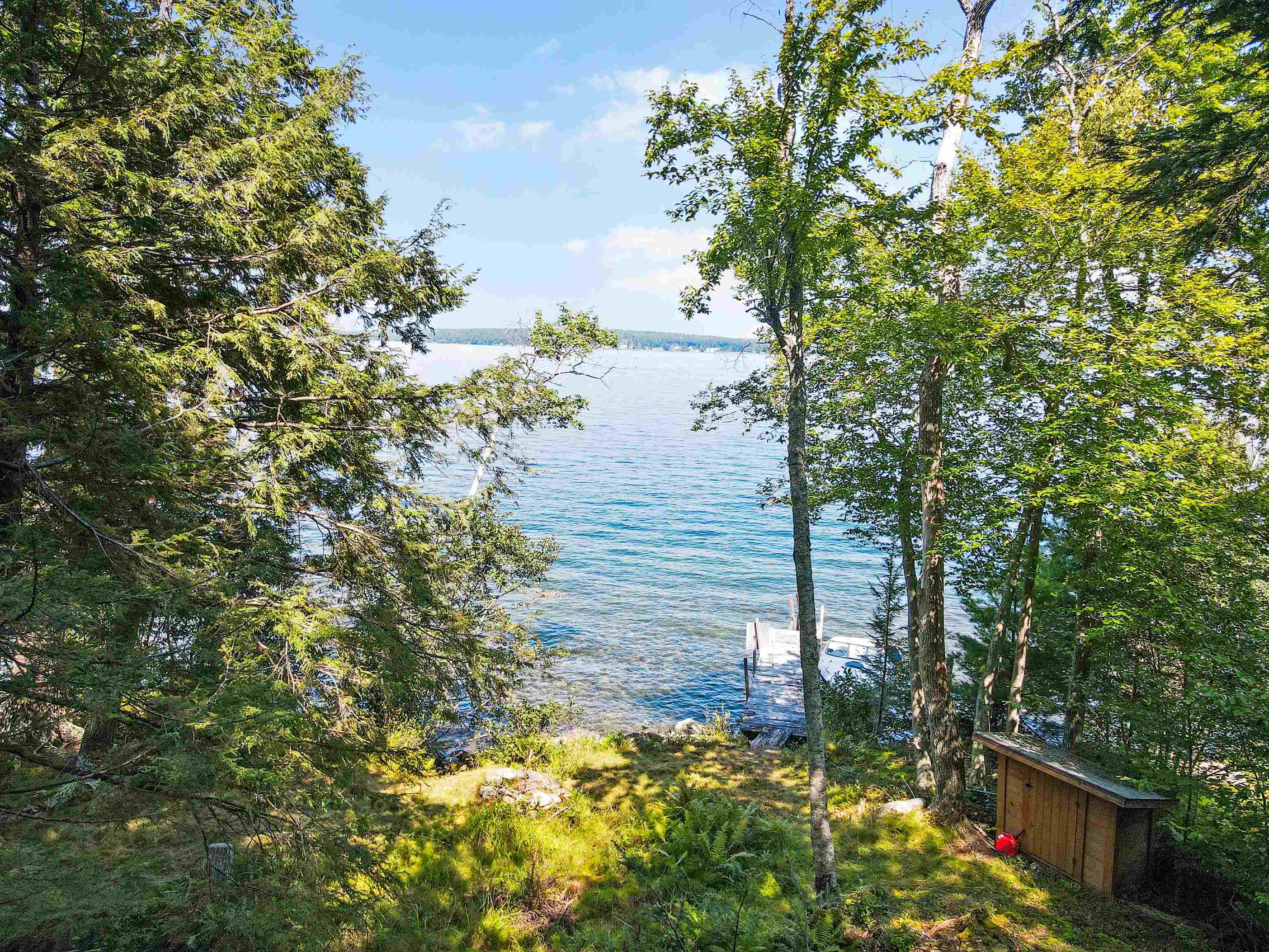 Property Photo:  890 Rattlesnake Island  NH 03810 