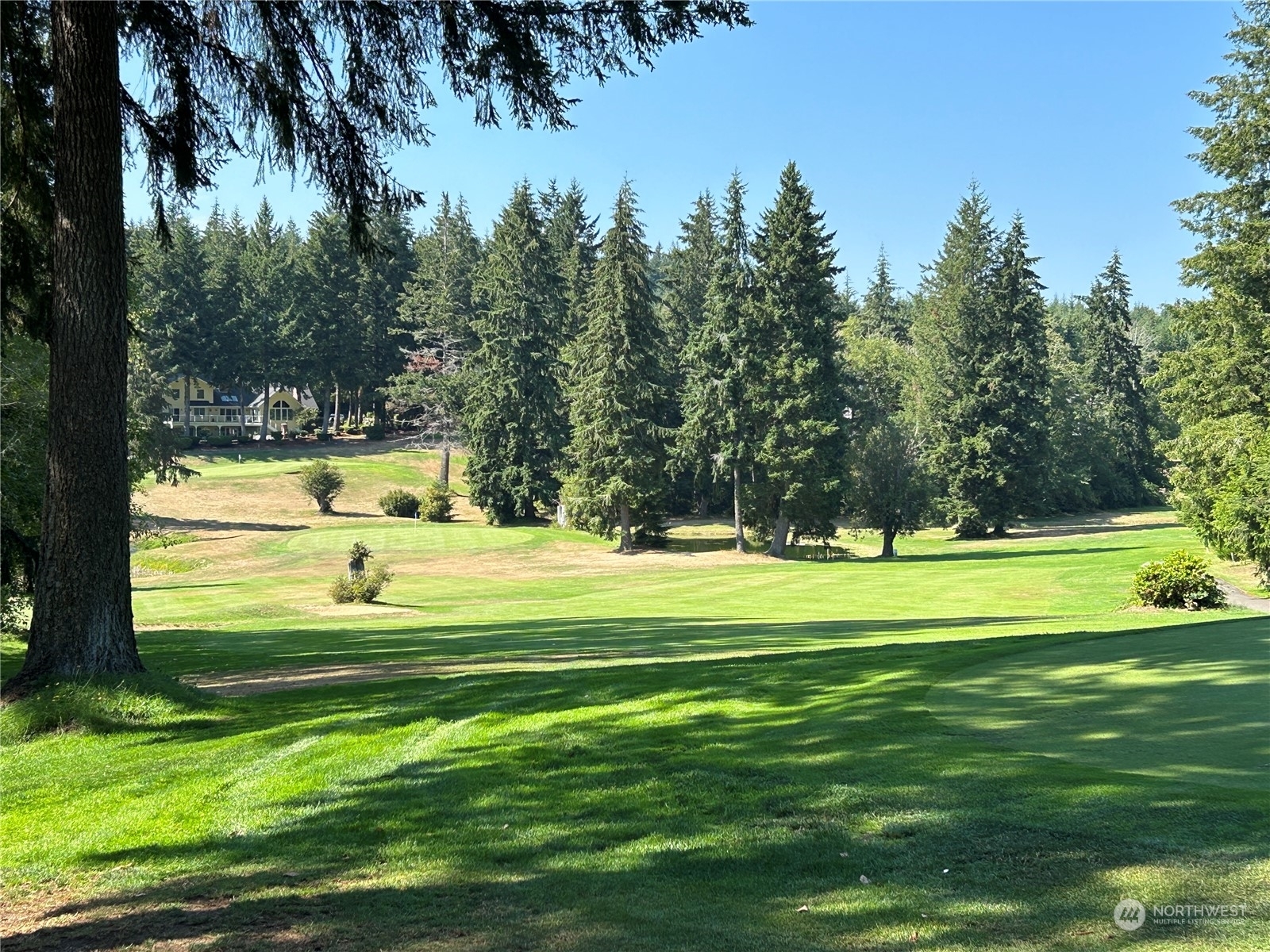 Property Photo:  60 E Olympic Ct  WA 98524 