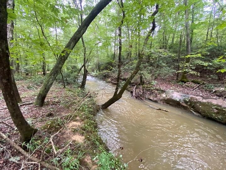 Property Photo:  0 Co Rd 1119  AL 35179 - VINEMONT 