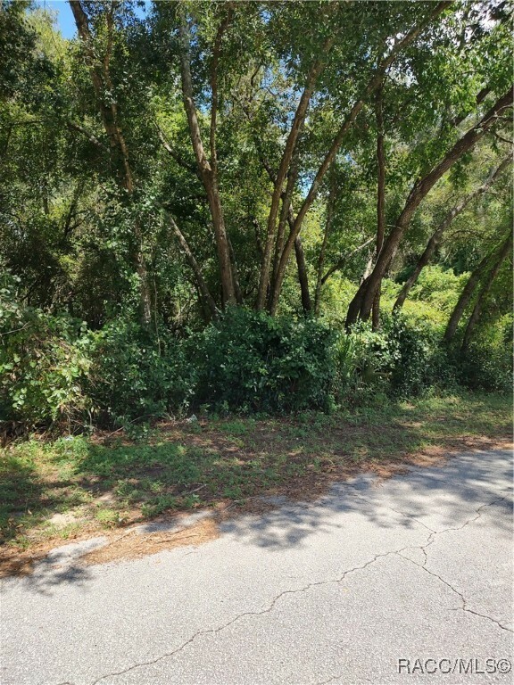 Property Photo:  814 Poplar Street  FL 34452 