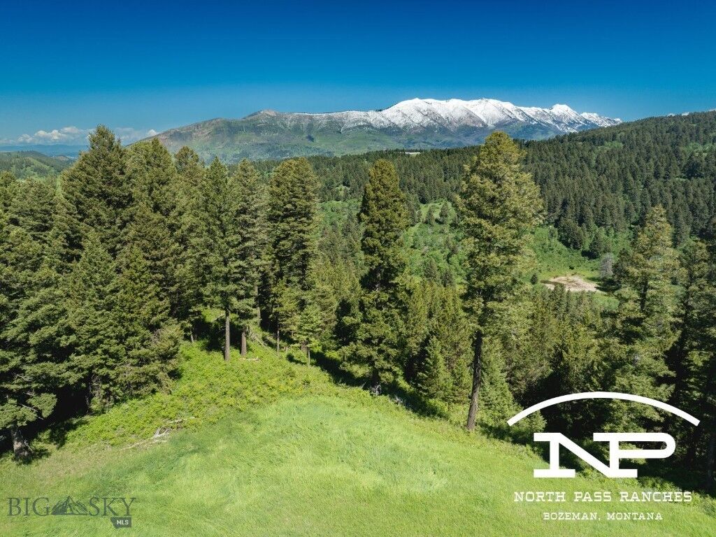 Property Photo:  Ranch 5 North Pass Ranches  MT 5971 