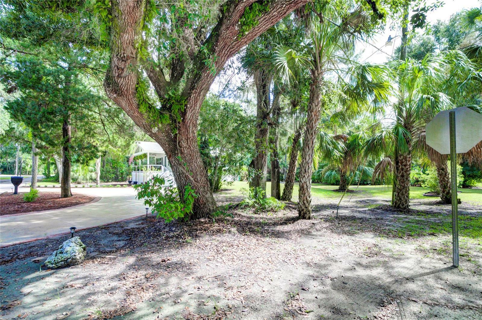 Property Photo:  5549 S Chamberlain Pool Avenue  FL 34448 