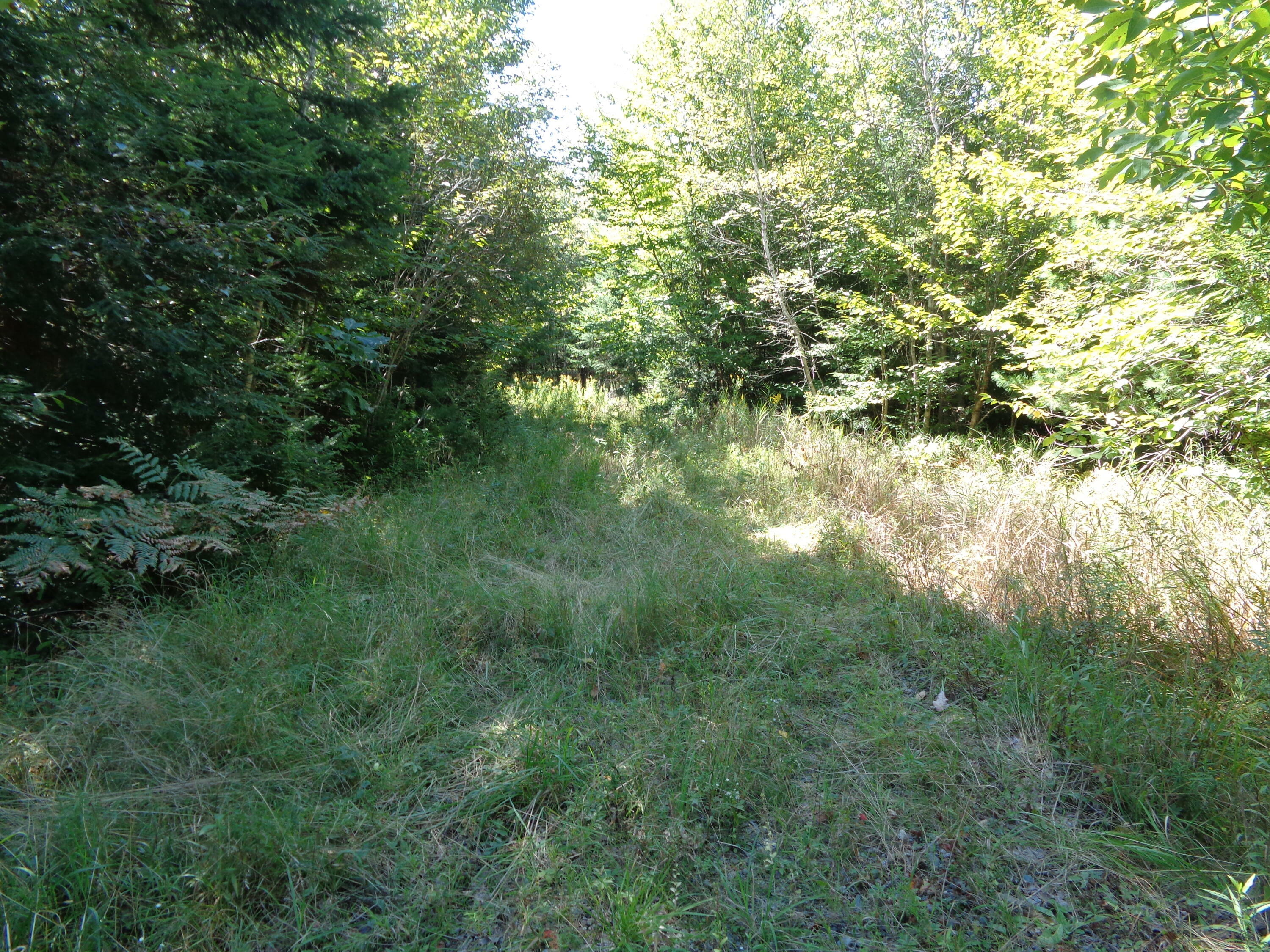 Property Photo:  Lot 4 Winkumpaugh Crossing  ME 04472 