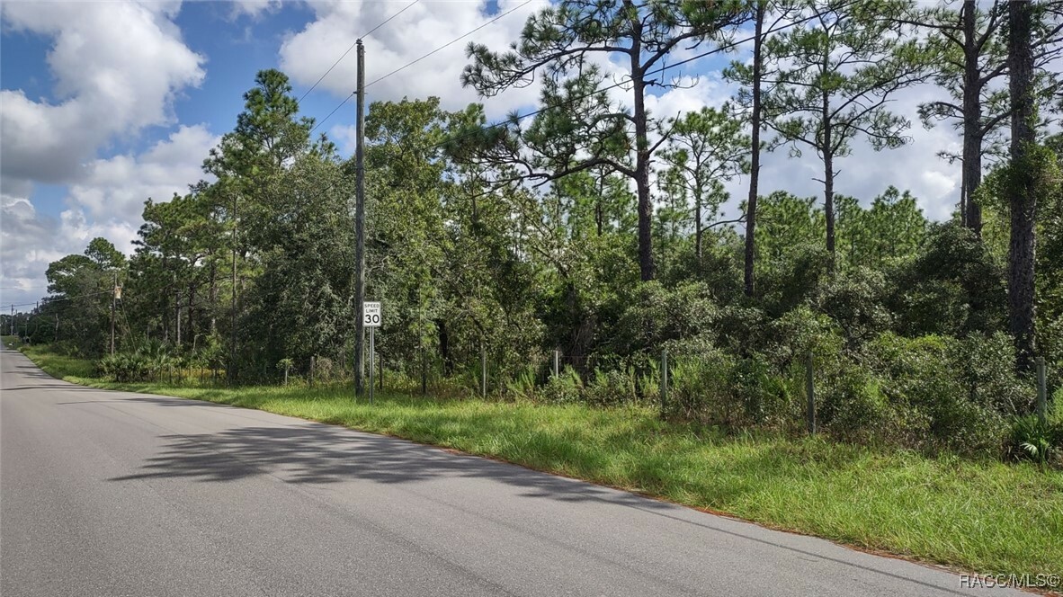 Property Photo:  5903 S Greenfield Terrace  FL 34446 