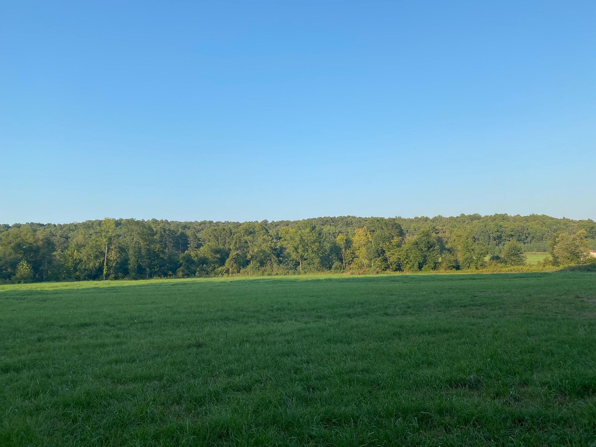 Property Photo: 29.73 Acres Cr 3371 AR 72830