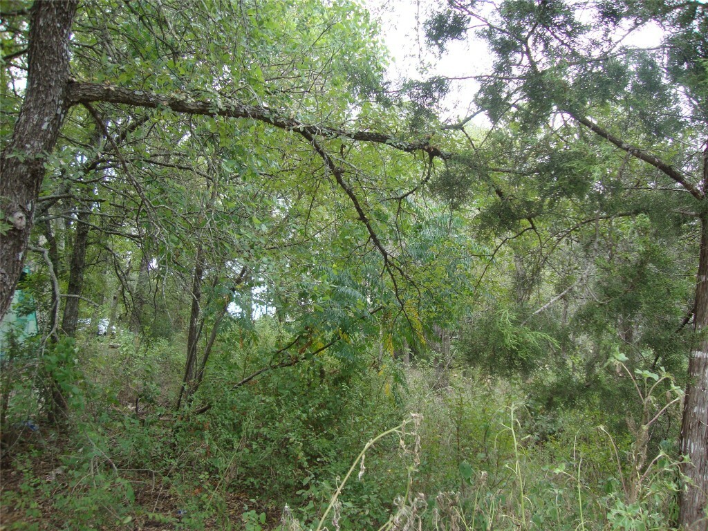 Property Photo:  11302 Lakeside Drive  TX 78645 