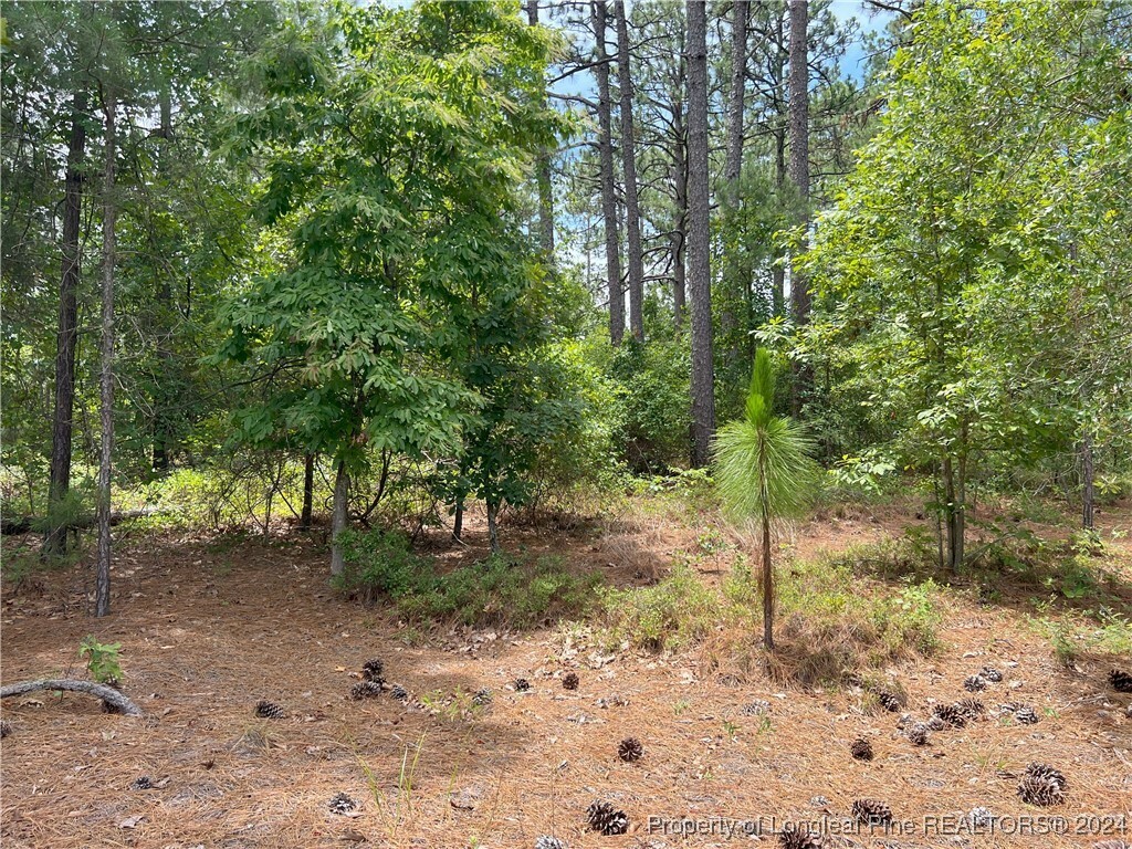 Property Photo:  Tbd Sandy Branch Lane  NC 28315 