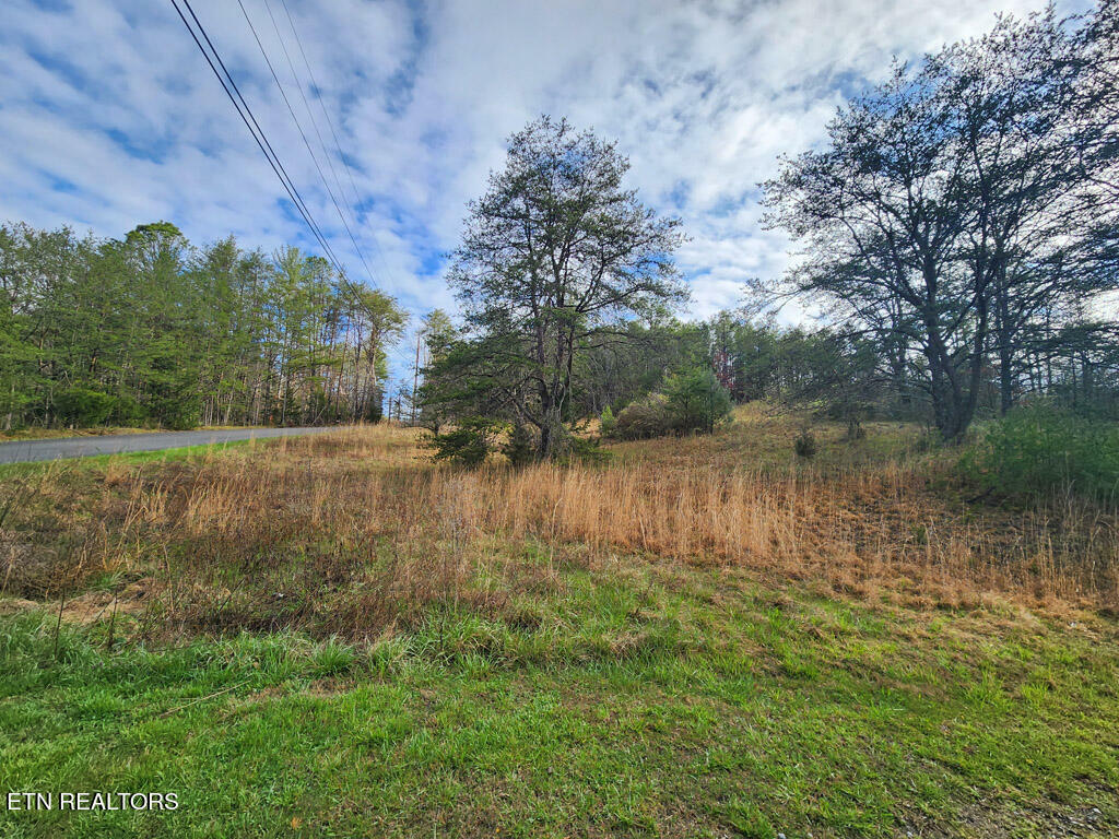 Property Photo:  Lot 11 Lum Way  TN 37876 