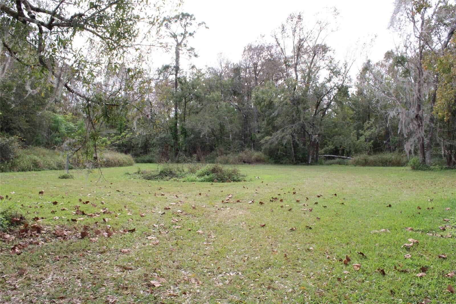 Property Photo: 10050 Nona Street FL 32825