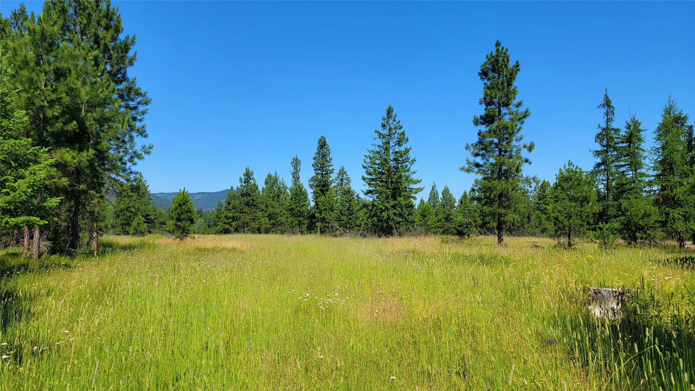 Property Photo:  Nhn Trout Creek Road  MT 59874 