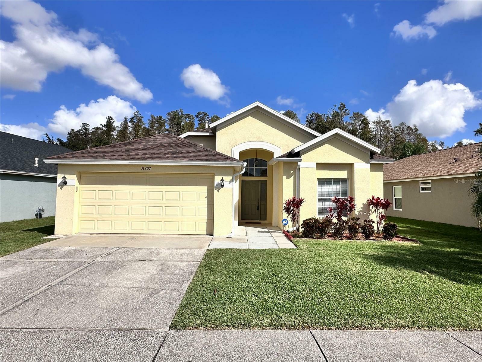 31207 Chatterly Drive  Wesley Chapel FL 33543 photo