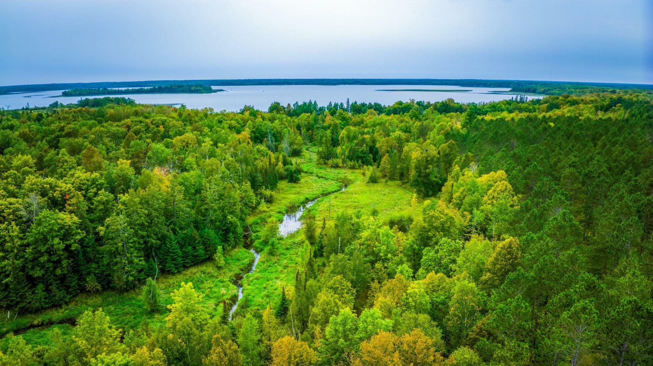 Property Photo:  Tbd Blackduck Lake Road NE  MN 56647 