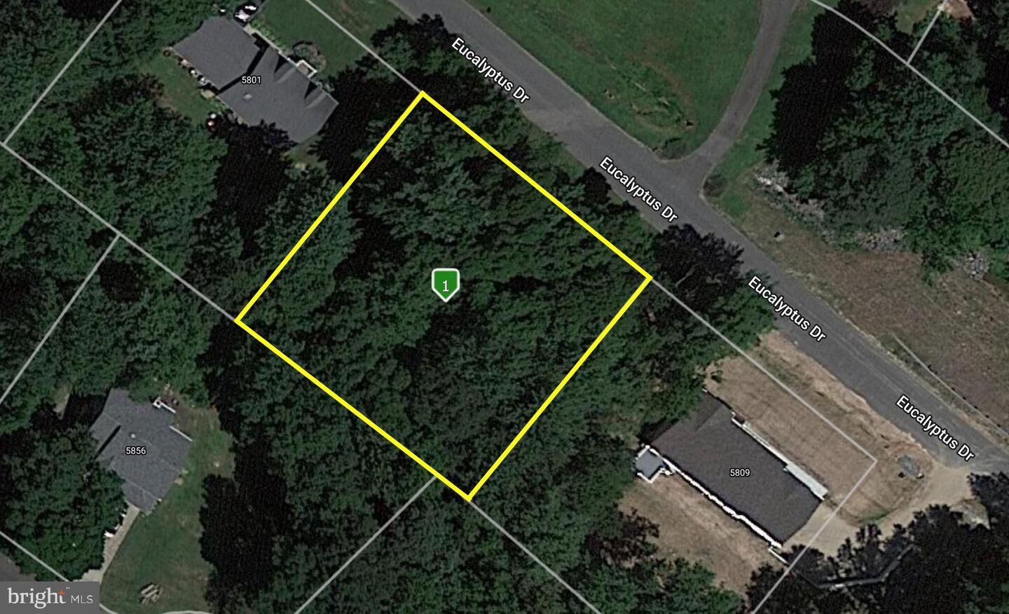 Property Photo:  5805 Eucalyptus Drive  MD 20685 