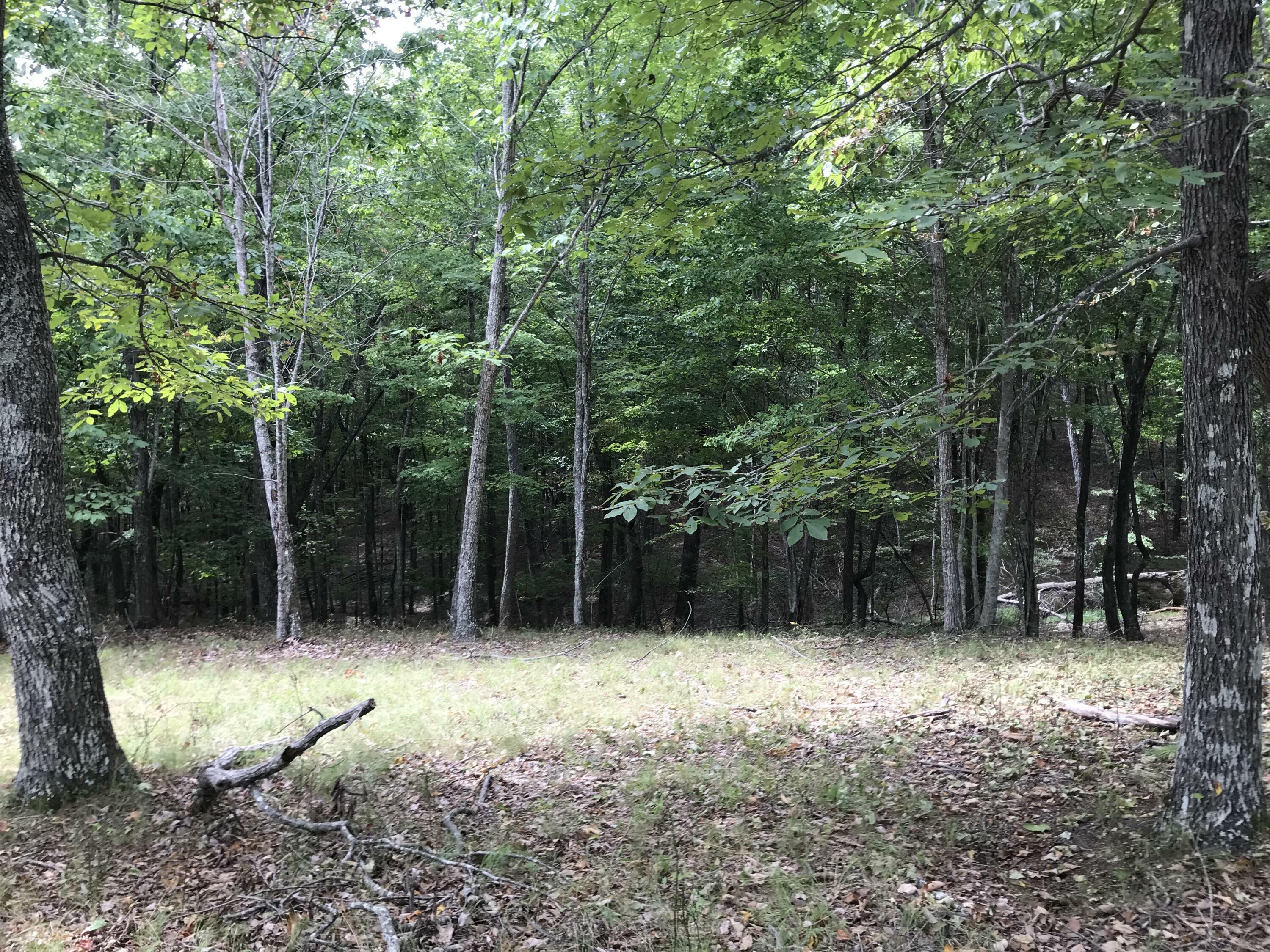 Property Photo: 103-B Bluffview Drive TN 37327