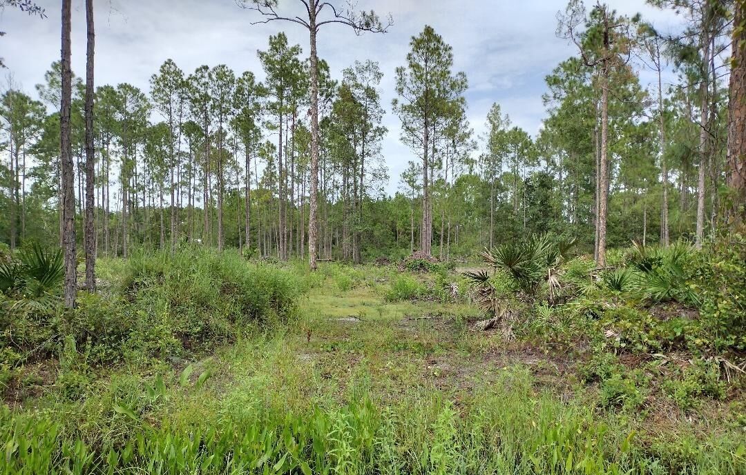 Property Photo: 5814 Mahogany Boulevard FL 32110
