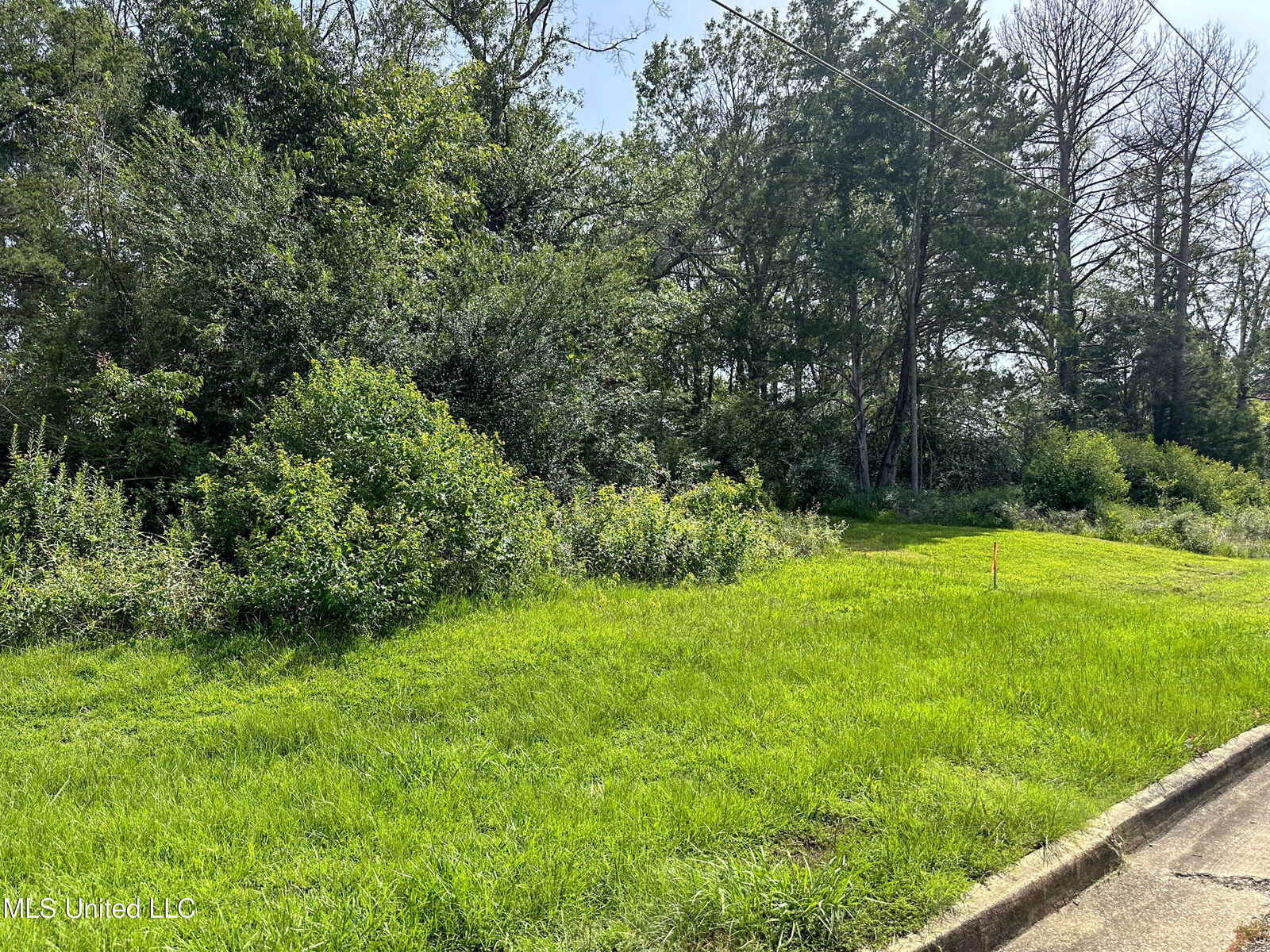 Property Photo: 109 Woodchase Park Drive MS 39056