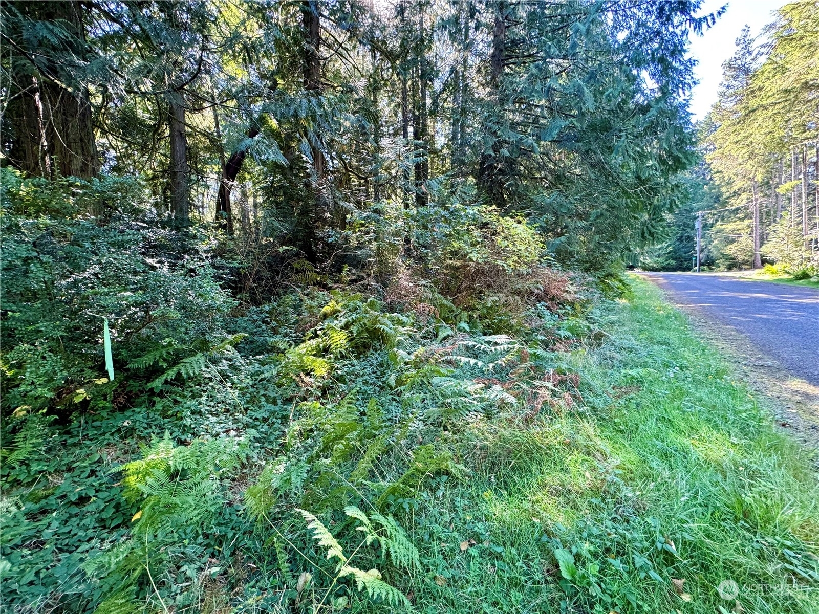 Property Photo:  11420 86th Street Ct  WA 98303 