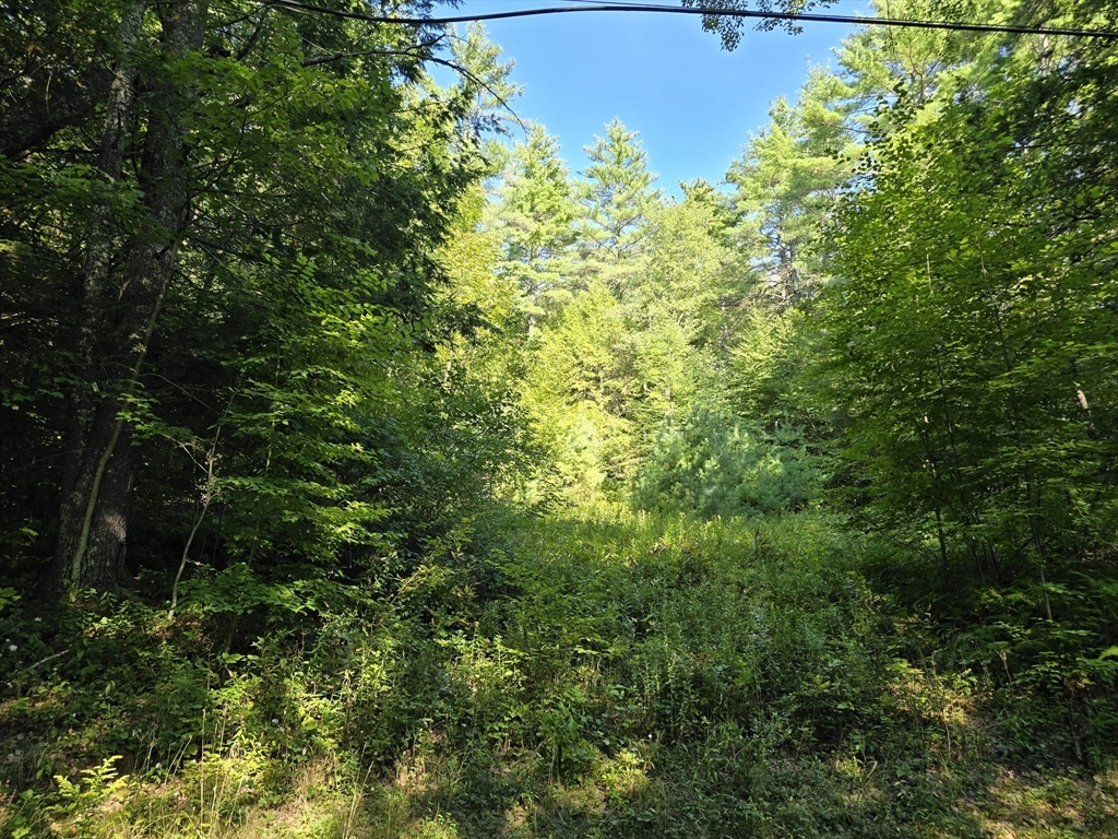 Property Photo: 0 Legate Hill Rd MA 01338