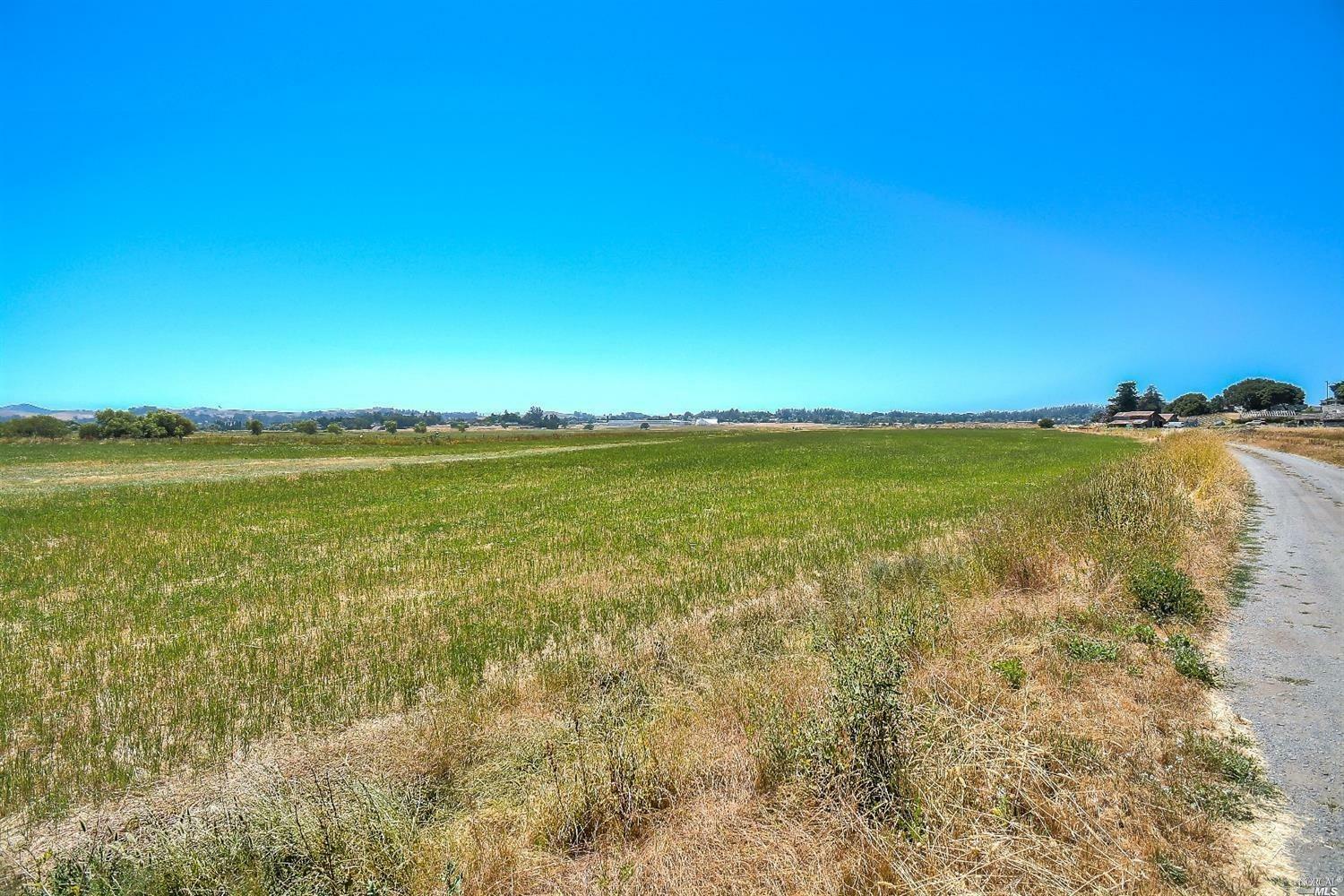 Property Photo:  595 Stony Point Road  CA 94952 