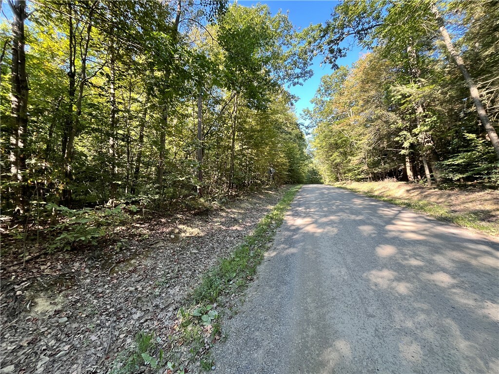 Property Photo:  Lot 1 Lockwood Run Road E  NY 14902 