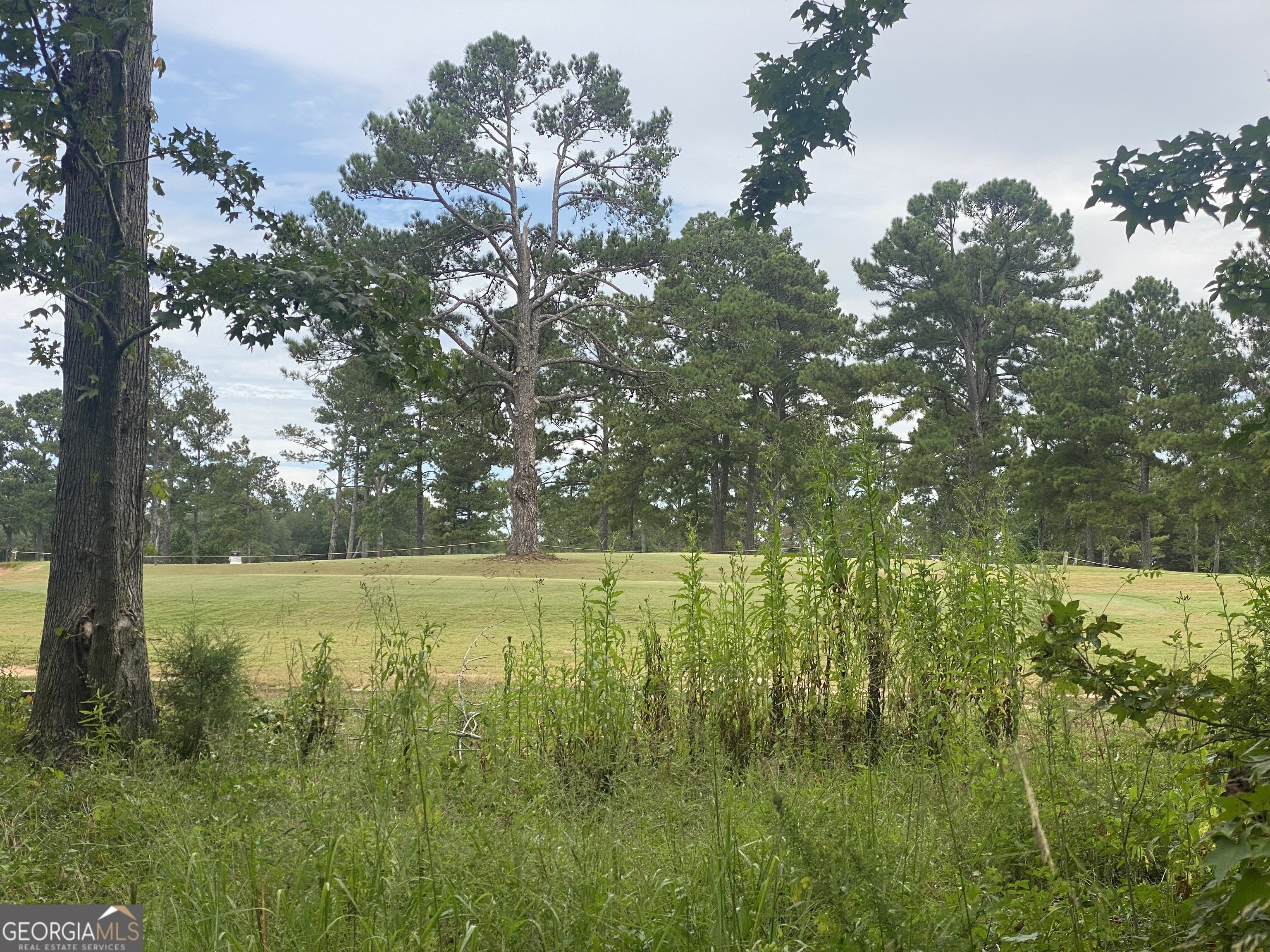 Property Photo:  1517 Cabin Creek Trail  GA 30223 