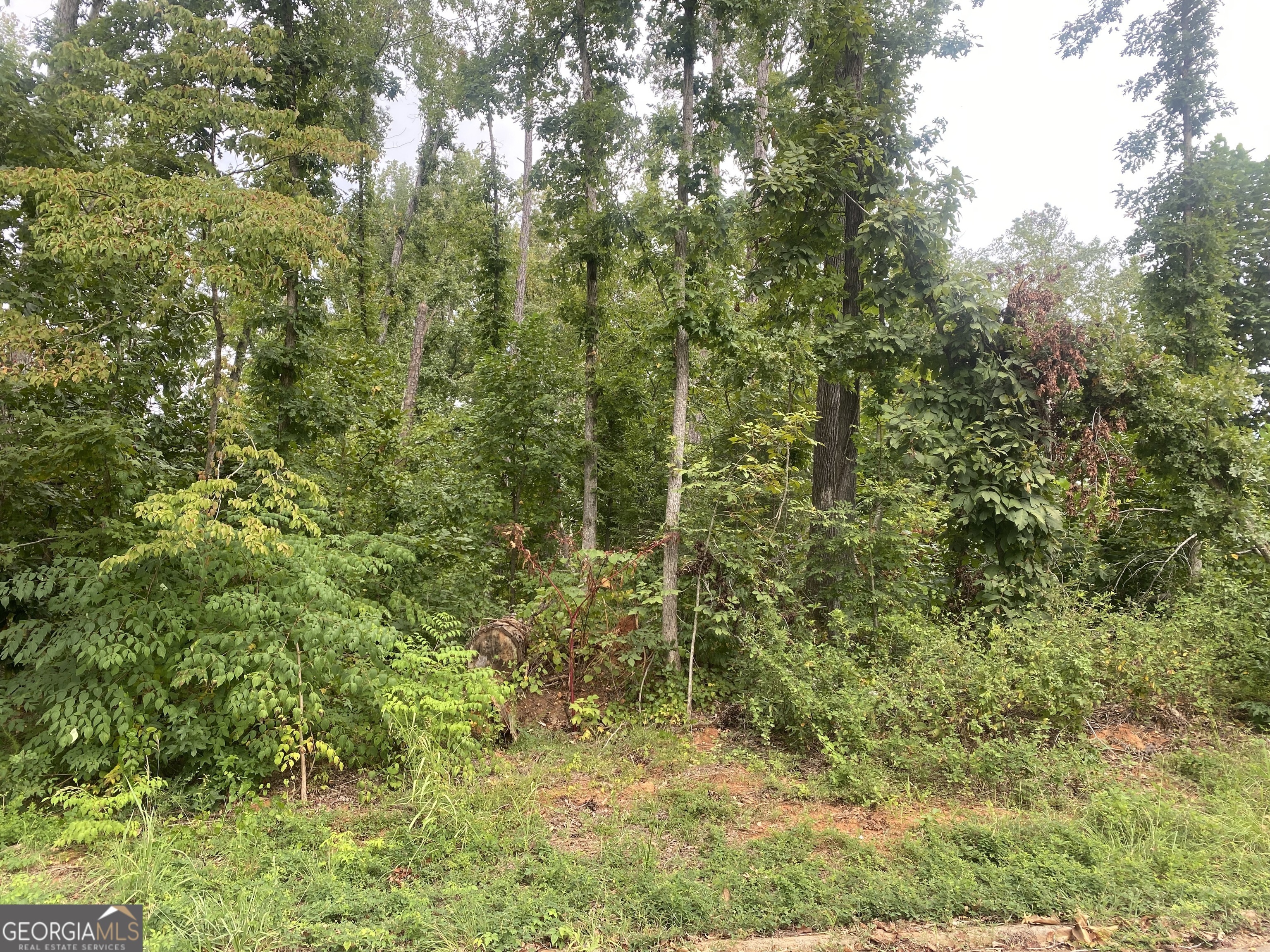 Property Photo:  1529 Cabin Creek Trail  GA 30223 