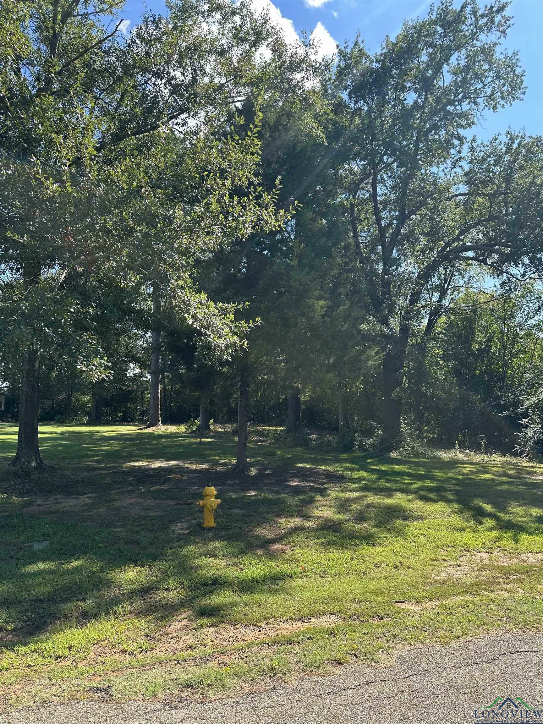 Property Photo:  261 W Don Koble Lane  TX 75605 