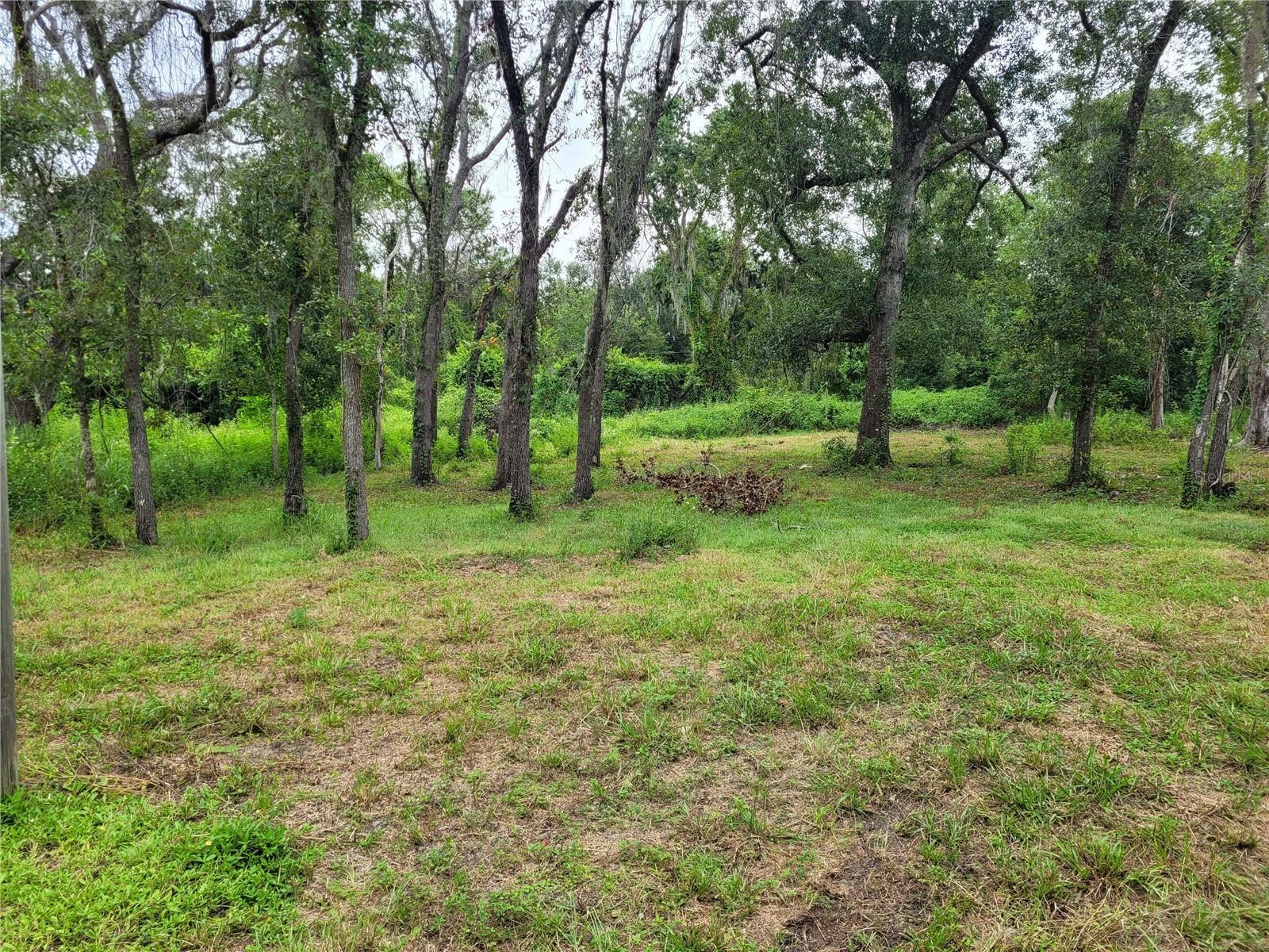 Property Photo:  Lake Drive  FL 34654 