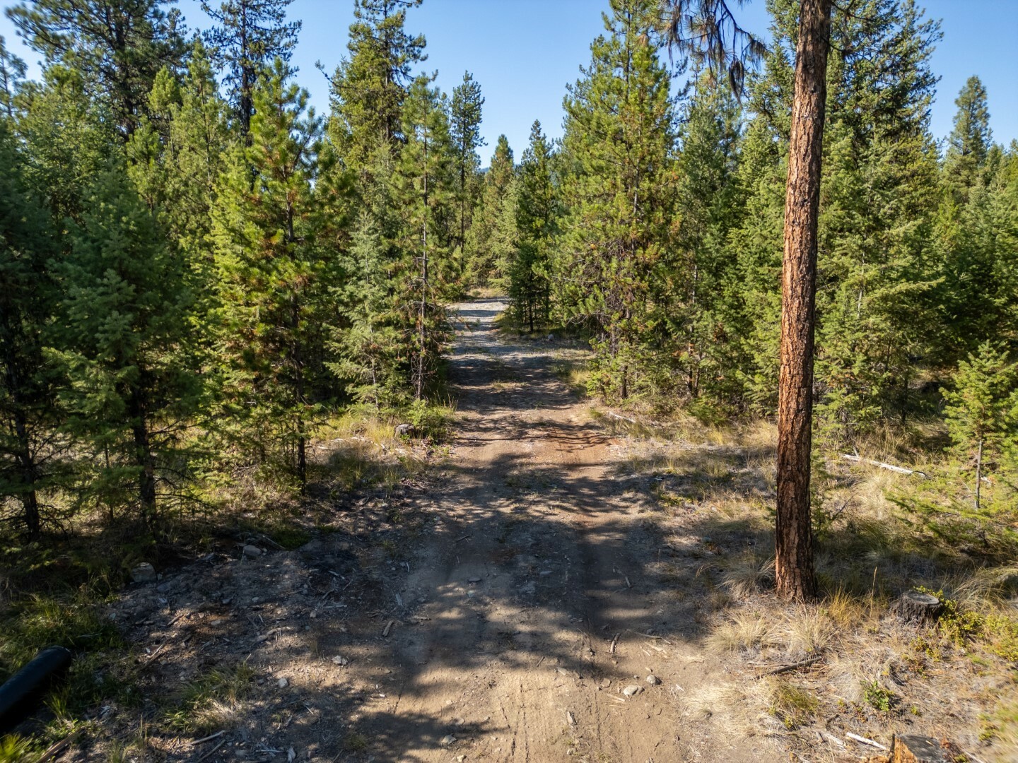 Property Photo:  Lot 9 Heavenly Drive  MT 59923 