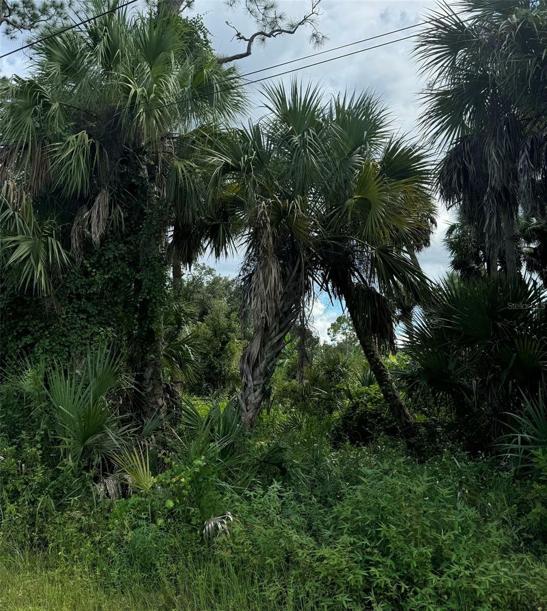 Property Photo:  Dumont Lane  FL 34286 