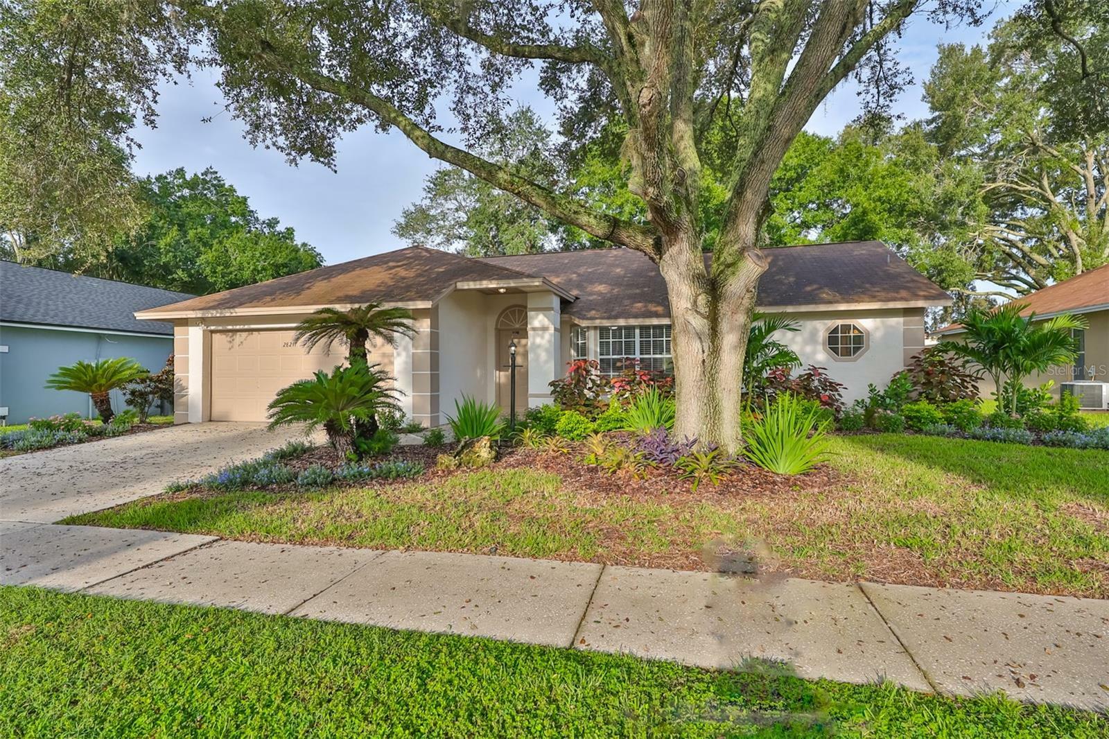 Property Photo:  28211 Tanglewood Drive  FL 33543 