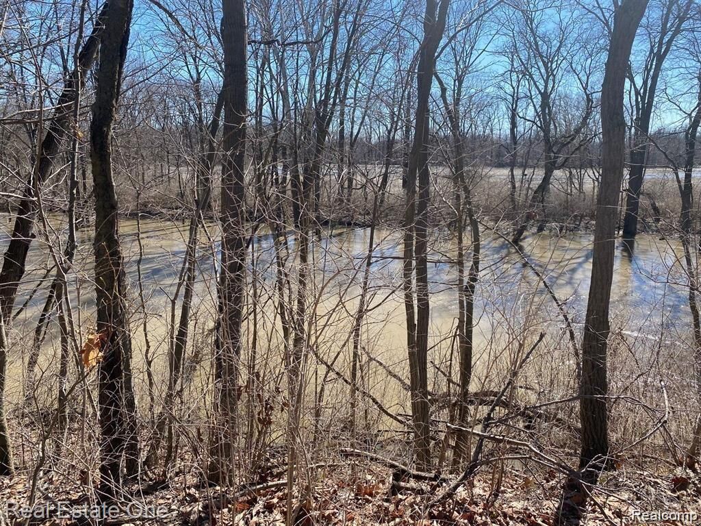 Property Photo:  Vacant Stowell Road  MI 48131 