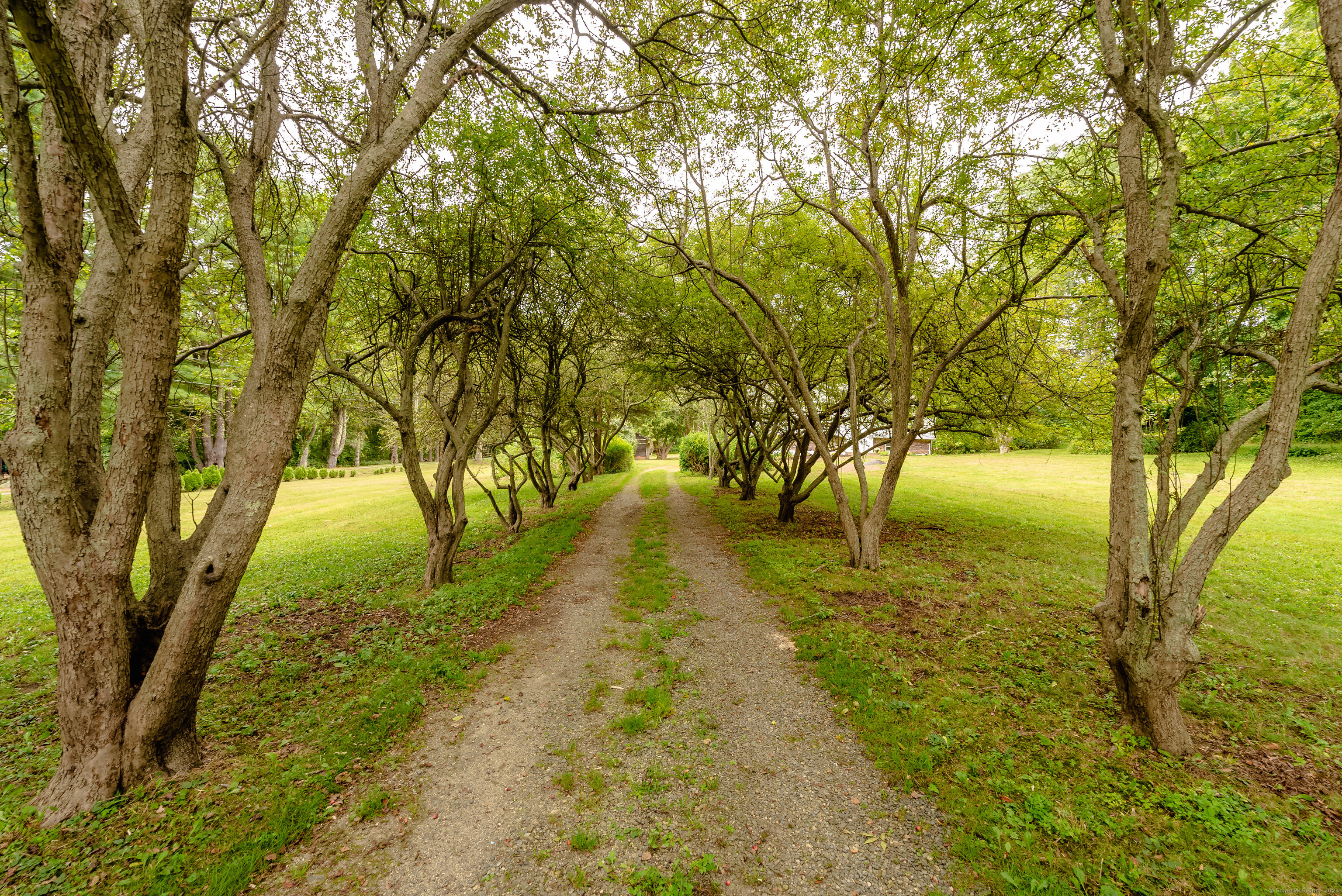 Property Photo:  33 Burdick Road  CT 06365 