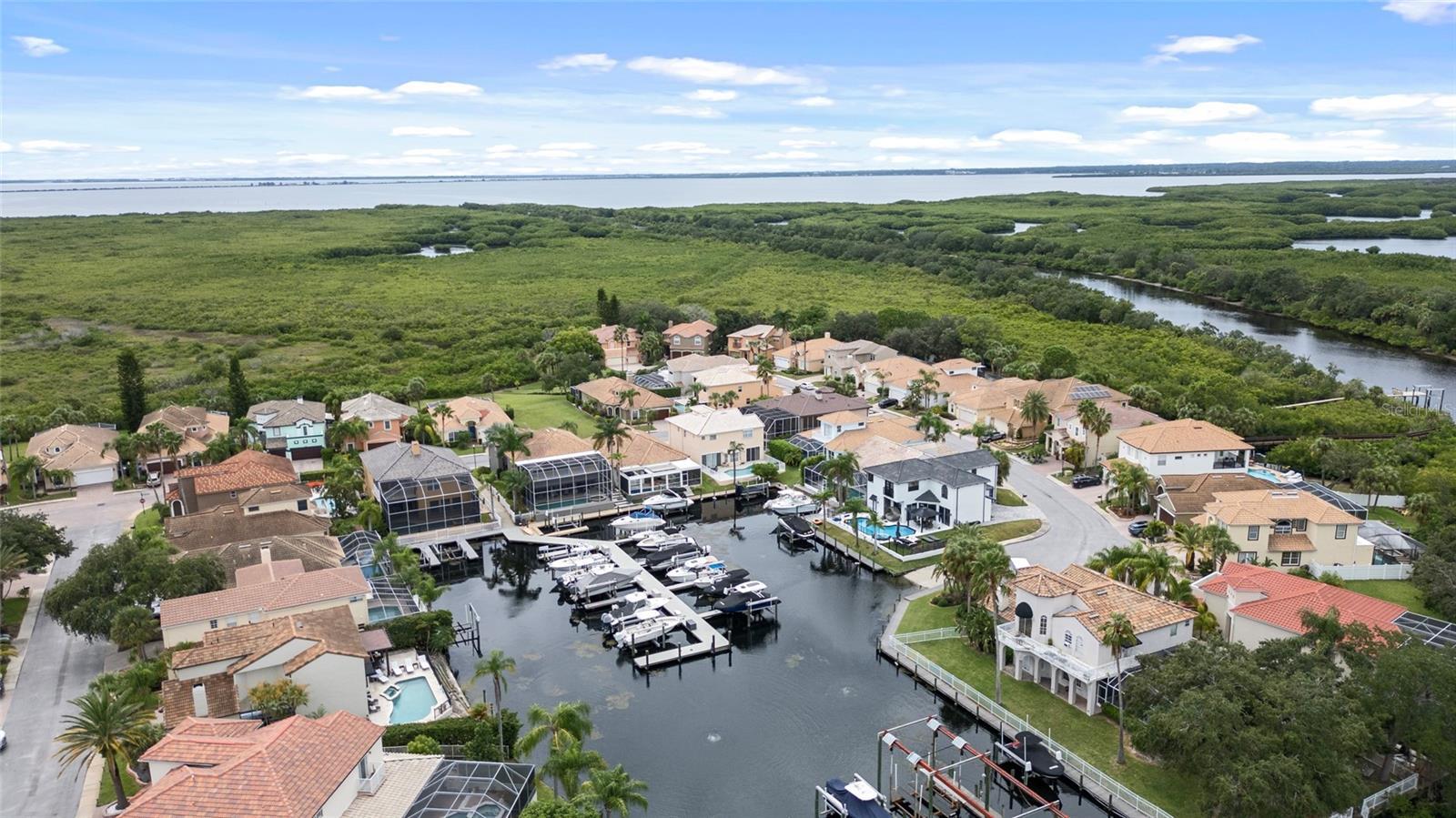 Property Photo: 10713 Cape Hatteras Drive FL 33615