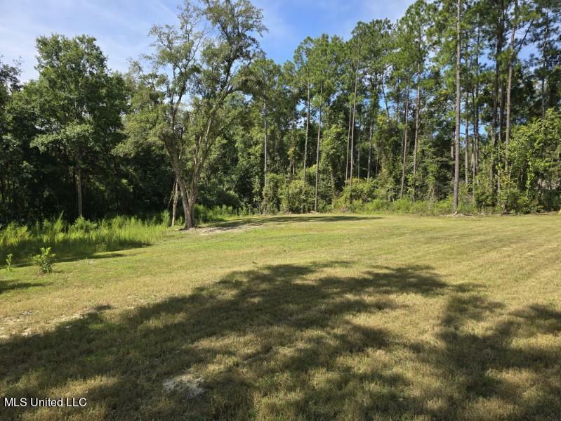 Property Photo:  11056 Paige Bayou Rd Road  MS 39565 