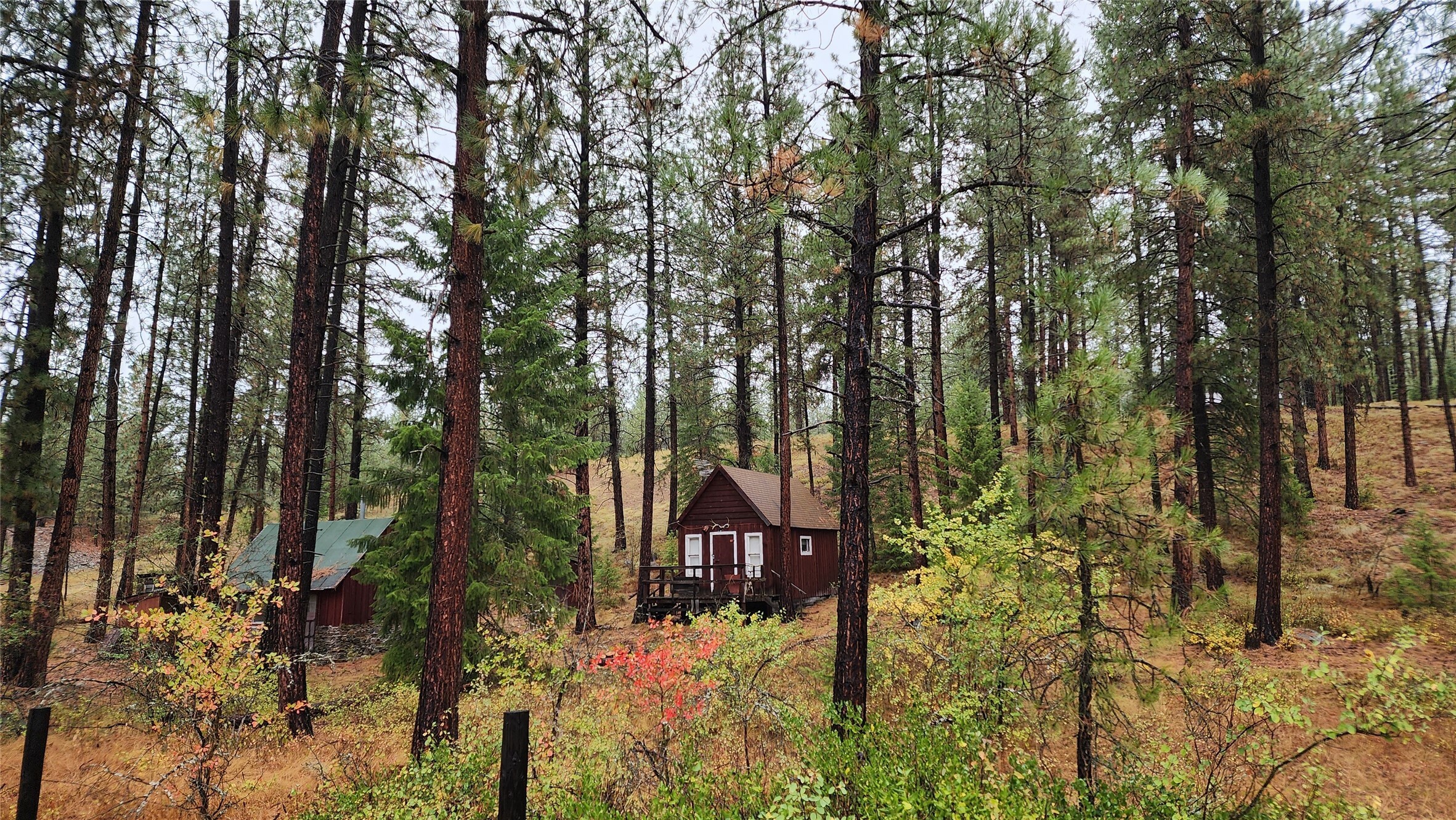 Property Photo:  00 Donlan Flats Road  MT 59866 