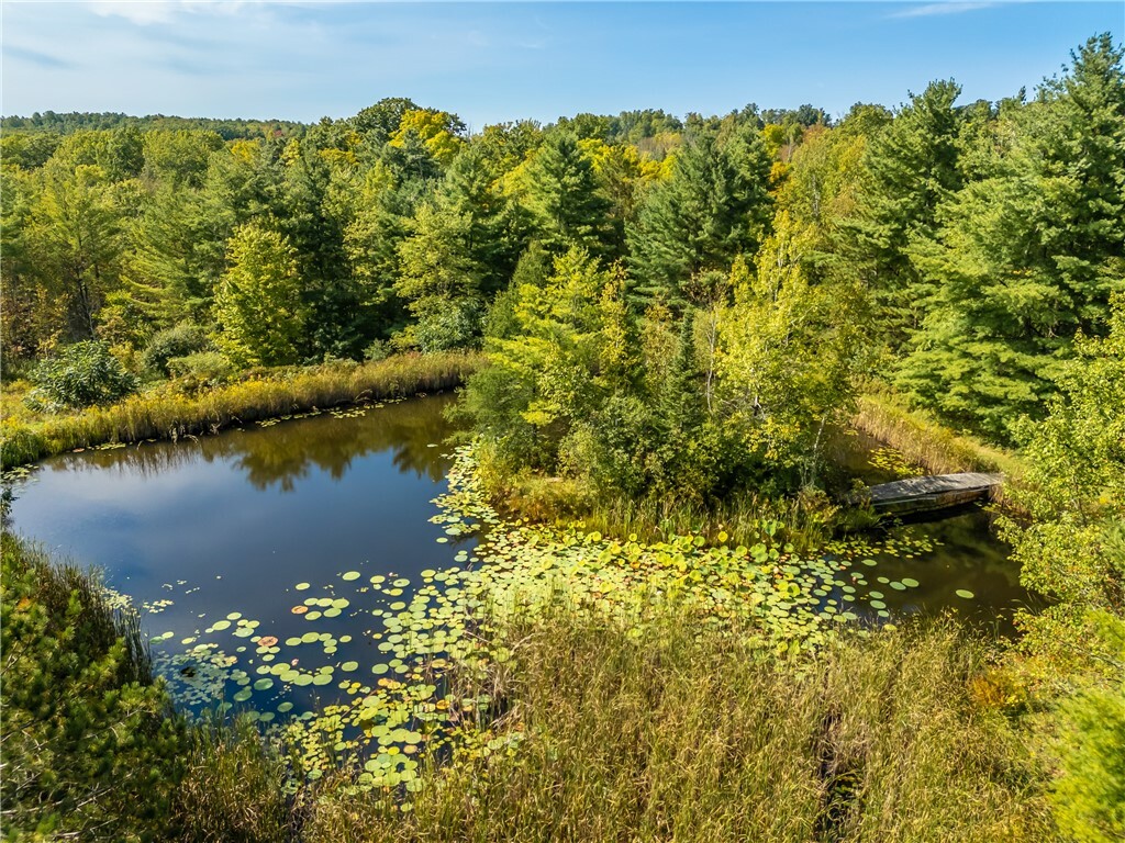 Property Photo:  7836 Freeman Hollow Road  NY 14810 