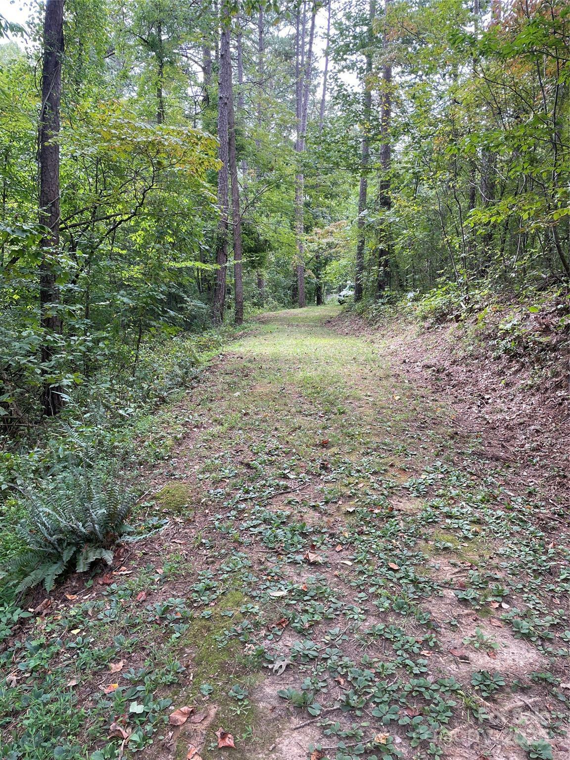 Property Photo: 99999 Monticello Road NC 28787
